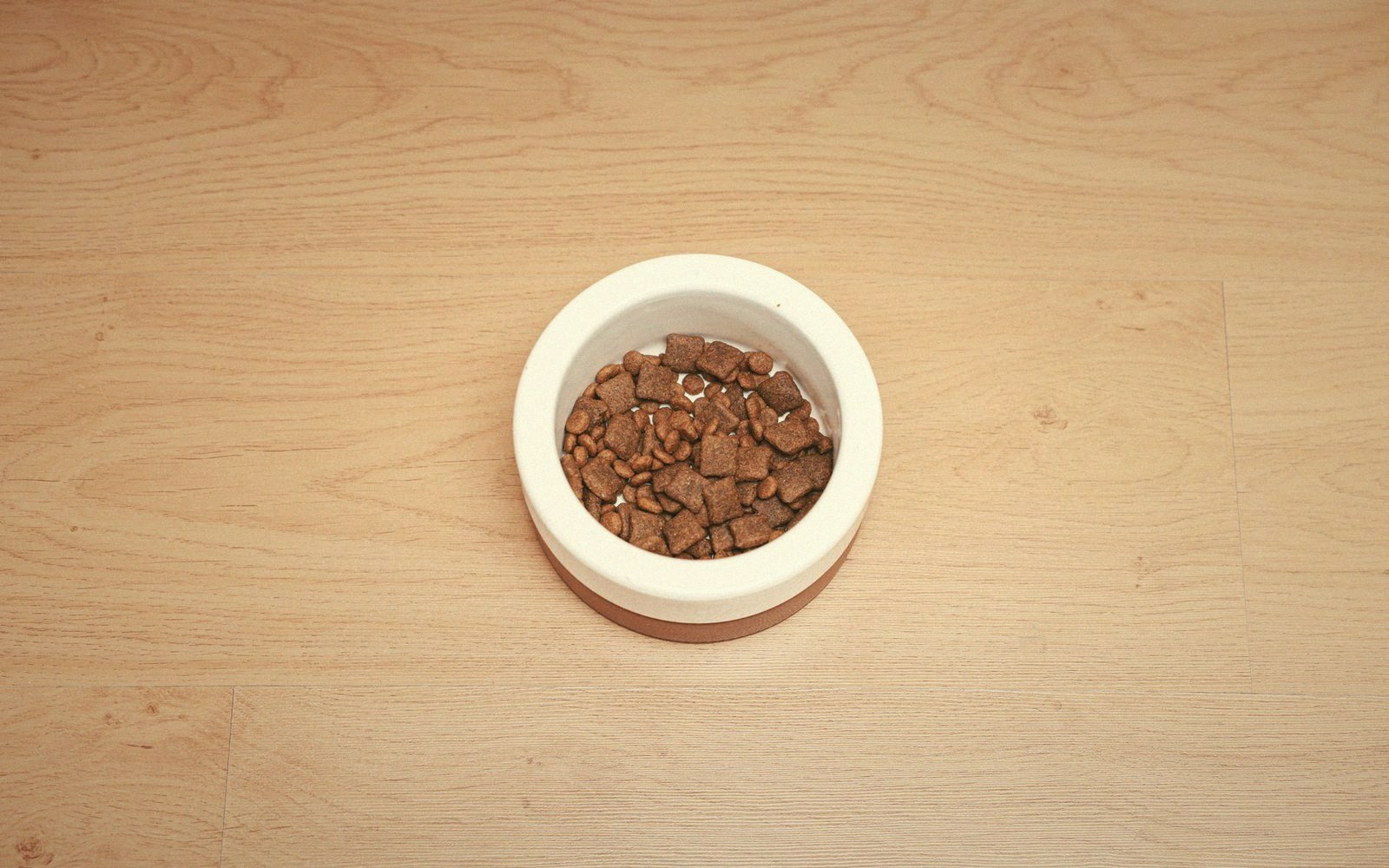 Overhead view of a white ceramic bowl partly filled with dry pet kibble on a wooden floor