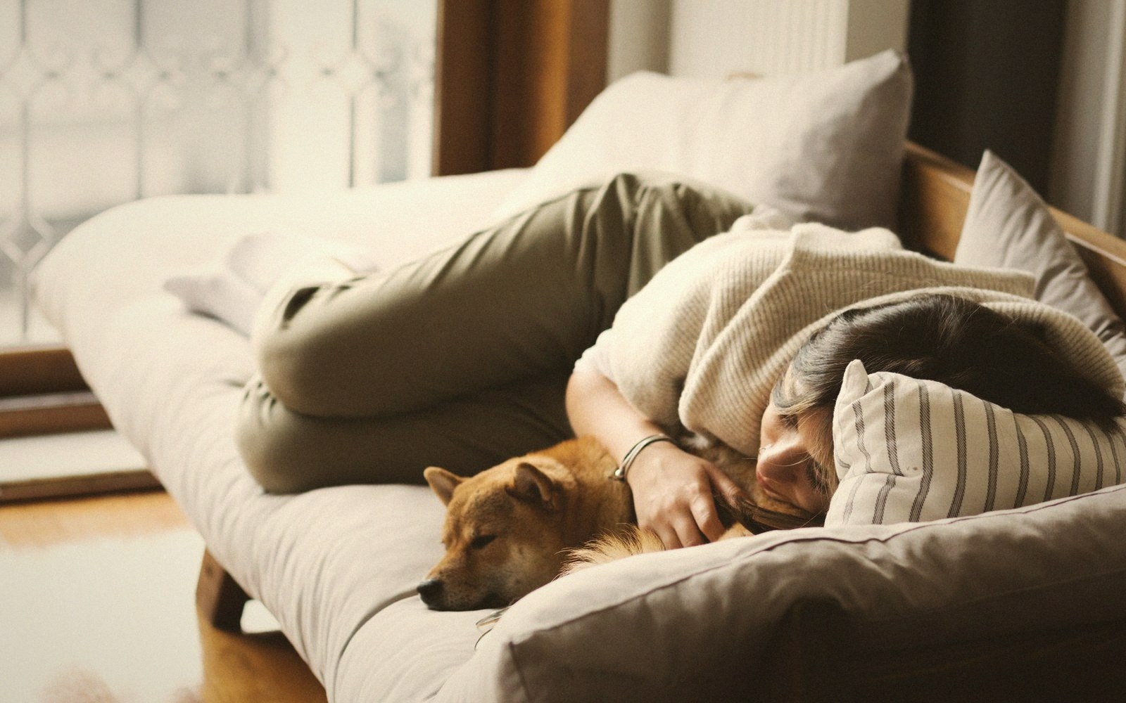 A woman naps on a sofa with a small dog curled up beside her hand